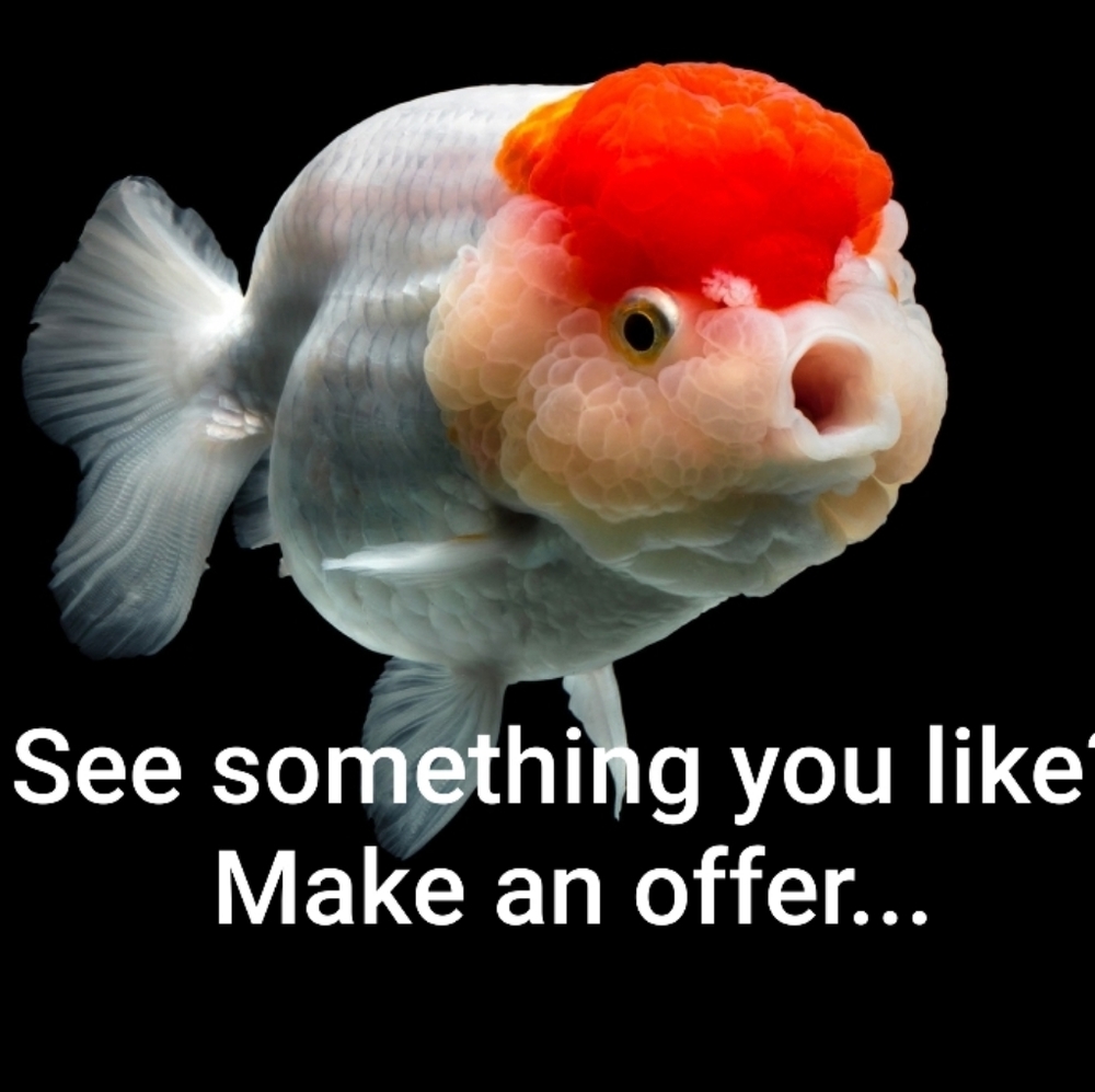 All Reasonable Offers